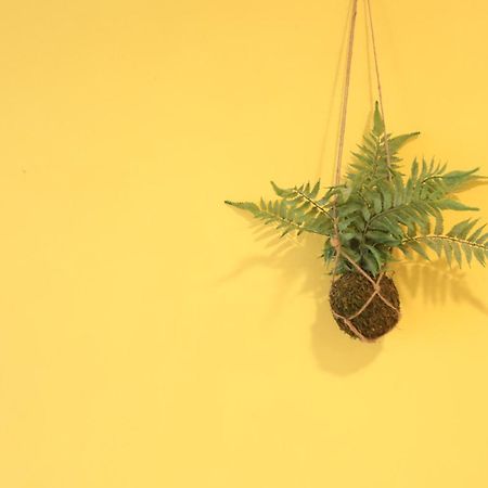 Appartamento 小巷微光 Lyudao Esterno foto