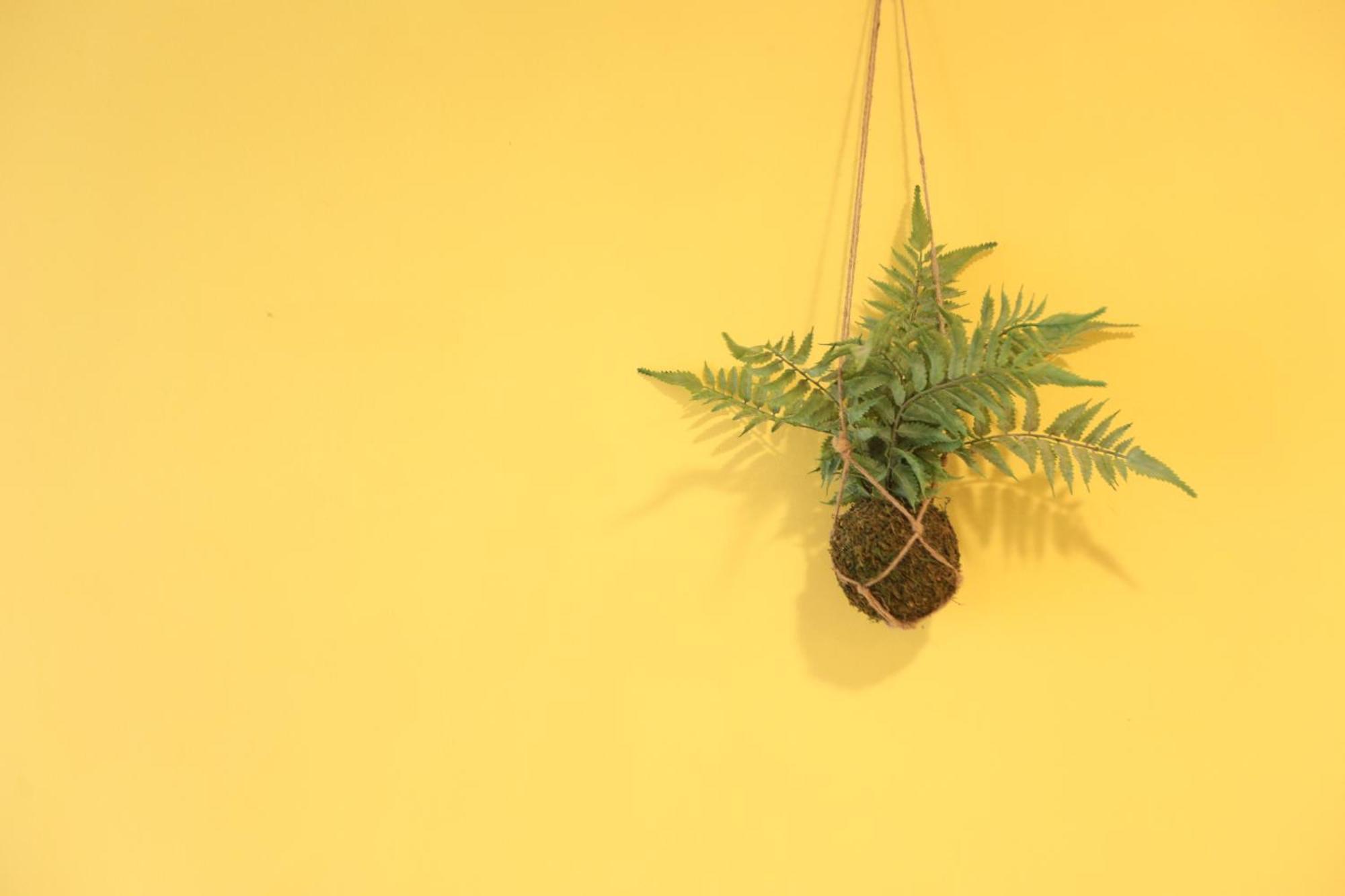 Appartamento 小巷微光 Lyudao Esterno foto